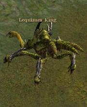 Lequimes King